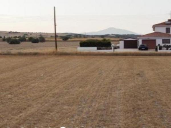plot for sale alaminos larnaca 1643238 image 16186238