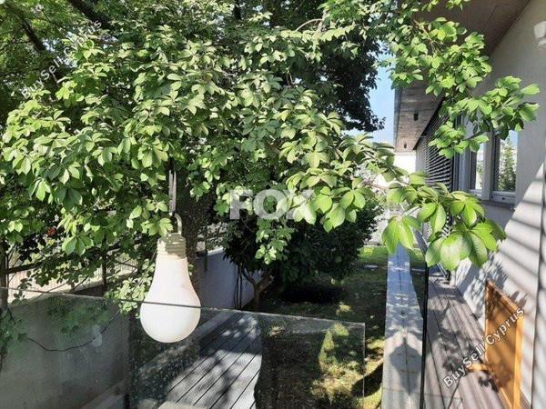 4 bedroom detached house for sale moni limassol 1146338 image 5512453