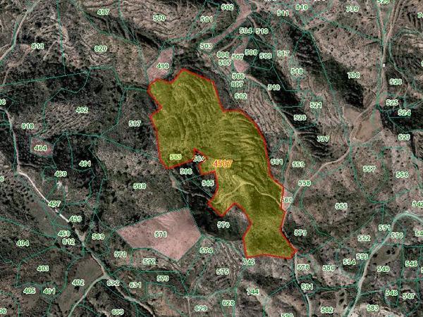 land for sale klonari limassol 232338 image 853174