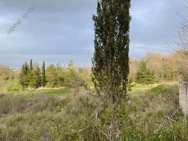 land for sale stroumbi paphos 1355338 image 5630176