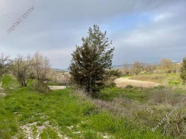 land for sale stroumbi paphos 1355338 image 5630180