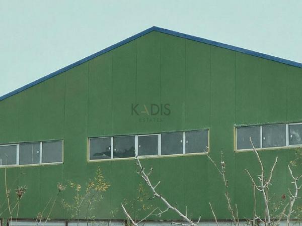 studio warehouse for rent fasoula lemesou limassol 8434338 image 15741412