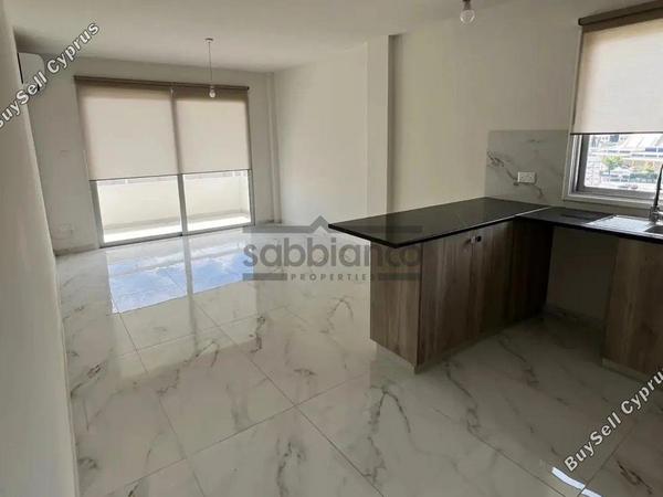 3 bedroom apartment for rent dasoupoli nicosia 8748438 image 16464142
