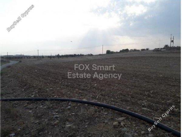 land for sale psimolofou nicosia 1153438 image 5171223