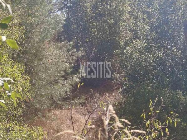 plot for sale lemithou limassol 8255438 image 13910701