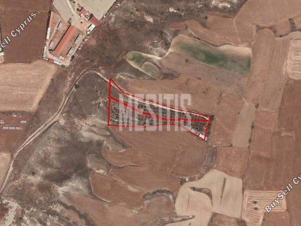 land for sale agioi trimithias nicosia 1853538 image 12887723