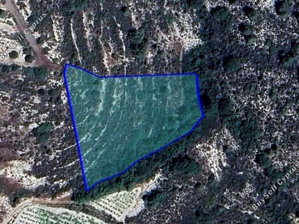 land for sale agios mamas limassol 1546538 image 5875850
