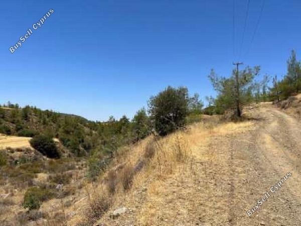 land for sale fikardou nicosia 8726538 image 16331845