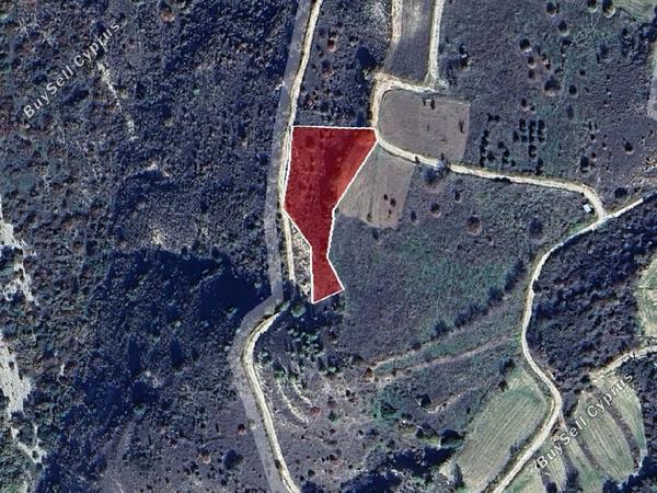 land for sale kedares paphos 1464538 image 15600374