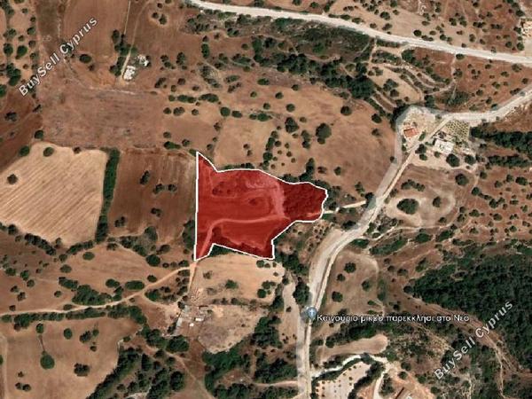 land for sale neo chorio paphos 1048538 image 15600303
