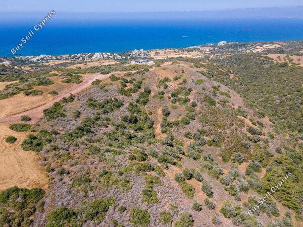 land for sale neo chorio paphos 952538 image 858615