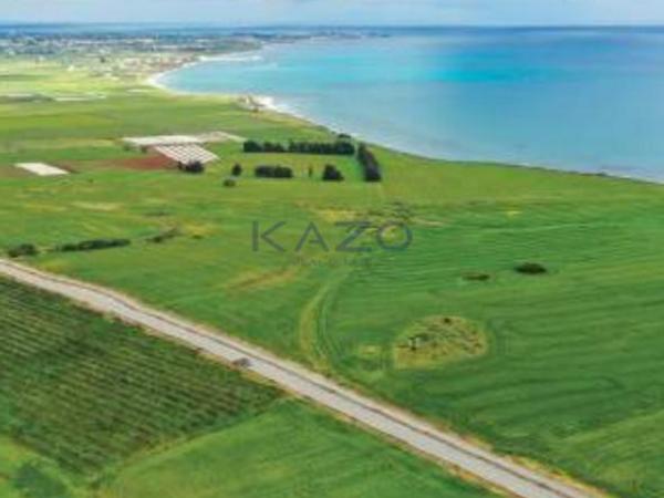 land for sale softades larnaca 8698538 image 16205389