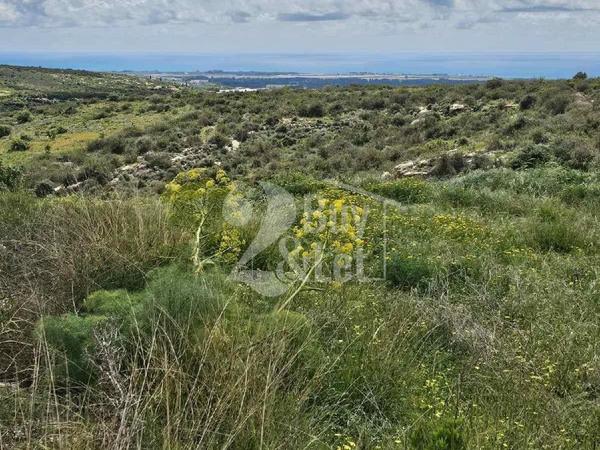 plot for sale agia marinouda paphos 8413538 image 15207876