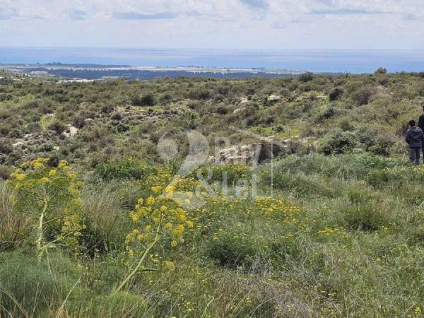 plot for sale agia marinouda paphos 8413538 image 15207879