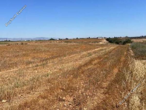 land for sale achna famagusta 8338638 image 14344082