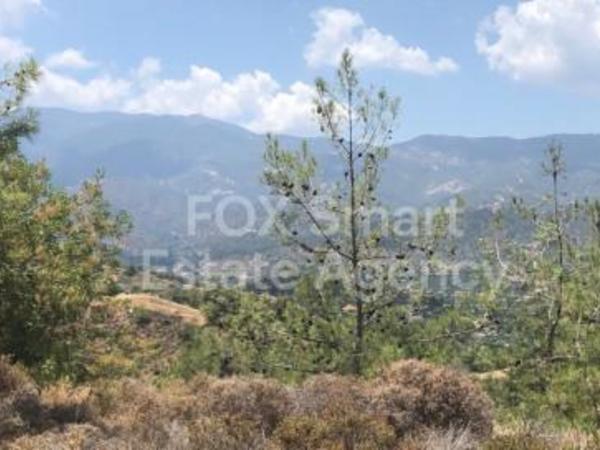 land for sale evrychou nicosia 1153638 image 5172783