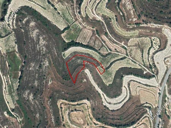 land for sale pachna limassol 828638 image 11082017