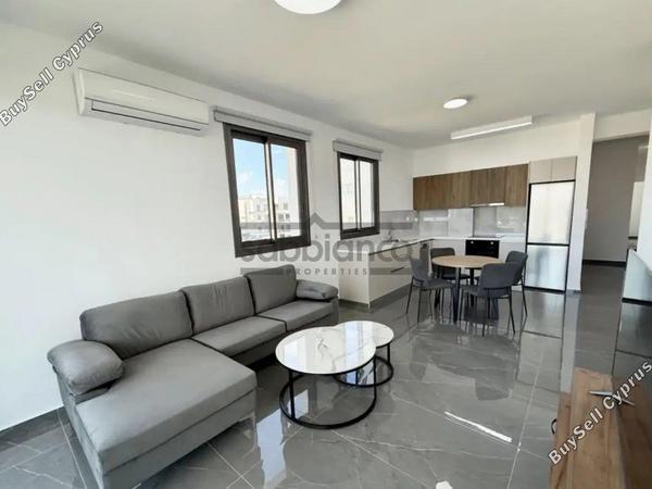 2 bedroom apartment for rent kato polemidia limassol 8749738 image 16478578