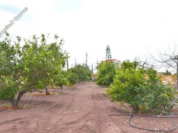 3 bedroom bungalow for sale sea caves peyia paphos 7963738 image 11446887