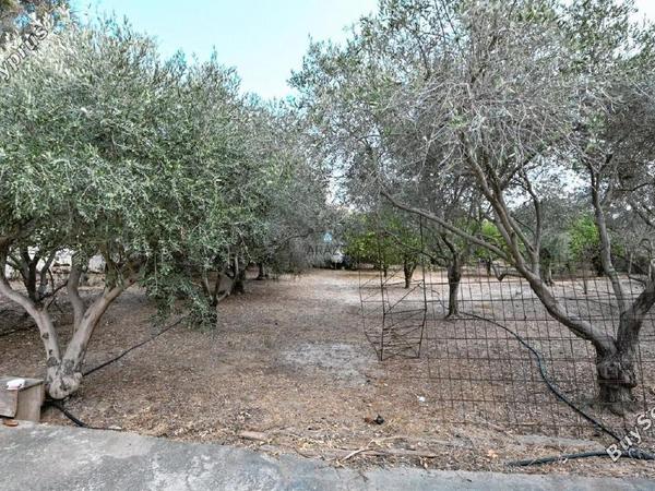 3 bedroom detached house for sale kiti larnaca 1517738 image 5653485
