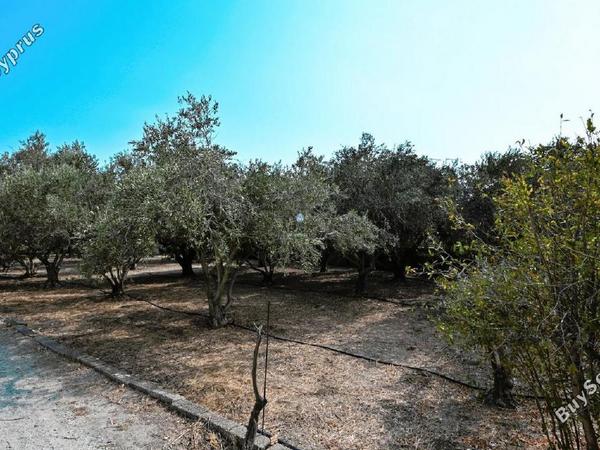 3 bedroom detached house for sale kiti larnaca 1517738 image 5653488