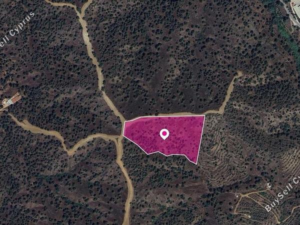land for sale agios theodoros soleas nicosia 8629738 image 15869729