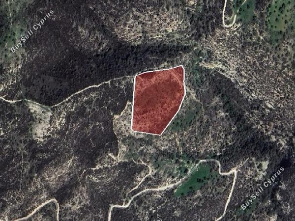 land for sale akoursos paphos 8463738 image 15620047