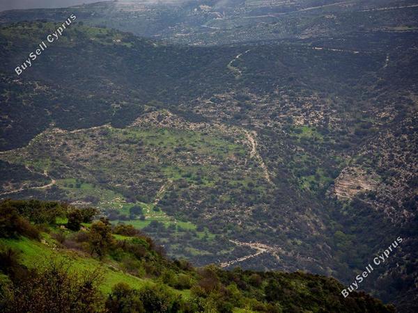 land for sale akoursos paphos 8463738 image 15620048
