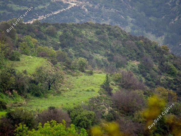 land for sale akoursos paphos 8463738 image 15620049