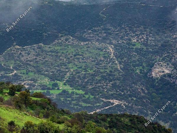 land for sale akoursos paphos 8463738 image 15620052