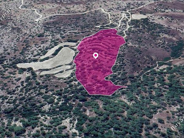 land for sale amargeti paphos 1213738 image 14890786