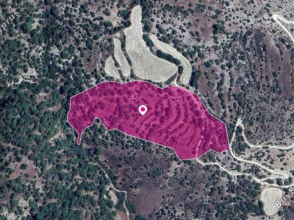 land for sale amargeti paphos 1213738 image 14890794