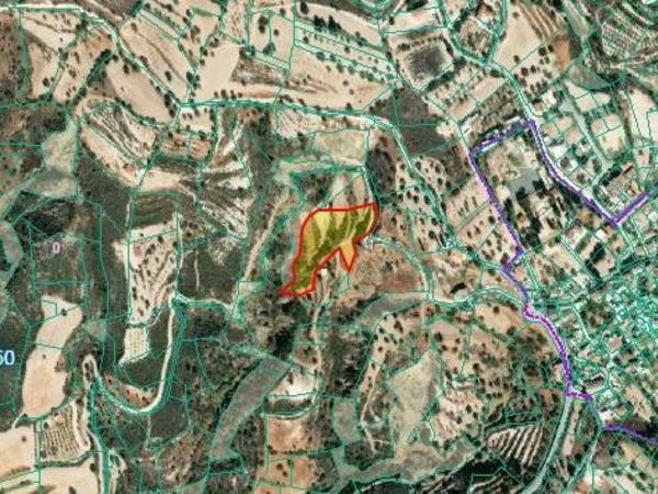 land for sale kato drys larnaca 7905738 image 16420946