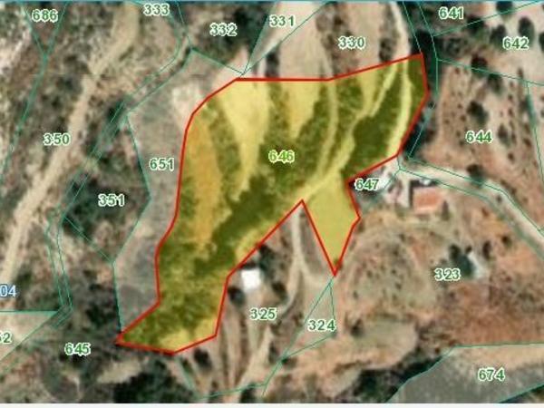 land for sale kato drys larnaca 7905738 image 16420947