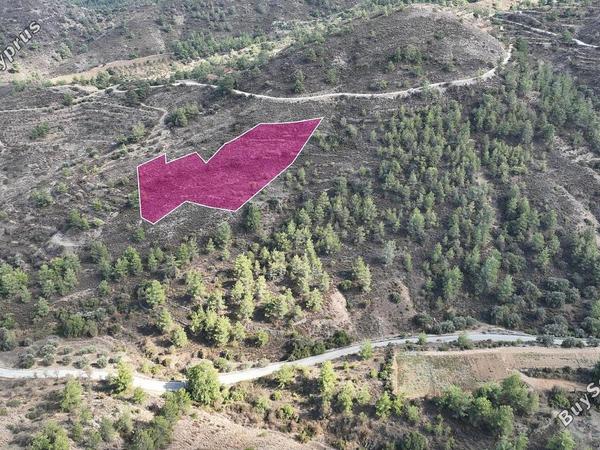 land for sale klirou nicosia 8406738 image 15004769