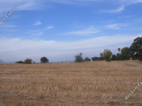 land for sale latsi paphos 8630738 image 15873986