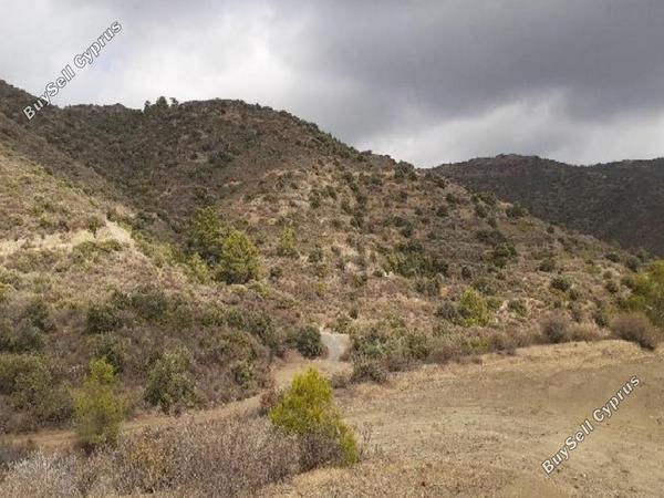 land for sale ora larnaca 1016738 image 15603475