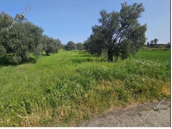 land for sale linou nicosia 1810838 image 6230252