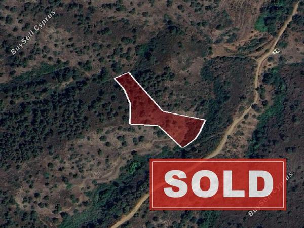 land sold korakou nicosia 1707838 image 4527385