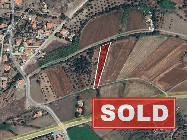 land sold linou nicosia 1810838 image 6230248