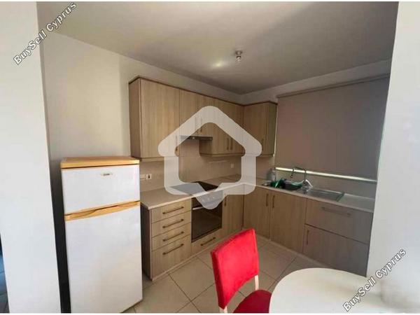 1 bedroom apartment for rent aglantzia nicosia 8797938 image 16708964