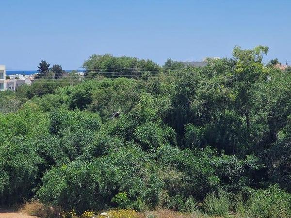 2 bedroom detached house for sale kapparis famagusta 8597938 image 15845767