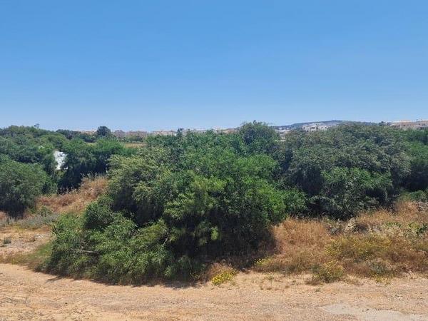 2 bedroom detached house for sale kapparis famagusta 8597938 image 15845770