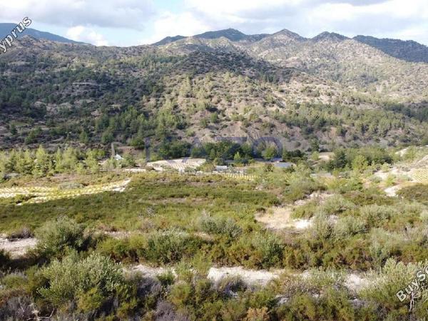 land for sale agios mamas limassol 1836938 image 14699247