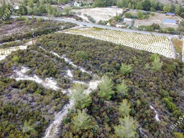 land for sale agios mamas limassol 1836938 image 14699248