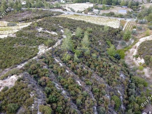 land for sale agios mamas limassol 1836938 image 14699249