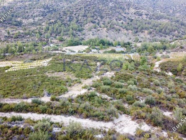 land for sale agios mamas limassol 1836938 image 14699250