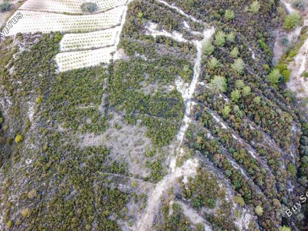 land for sale agios mamas limassol 1836938 image 14699251