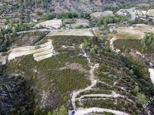land for sale agios mamas limassol 1836938 image 14699255