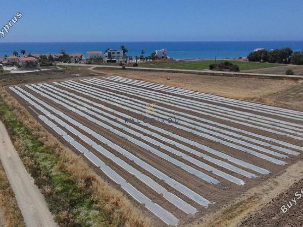 land for sale pervolia larnaca 1868938 image 11474394